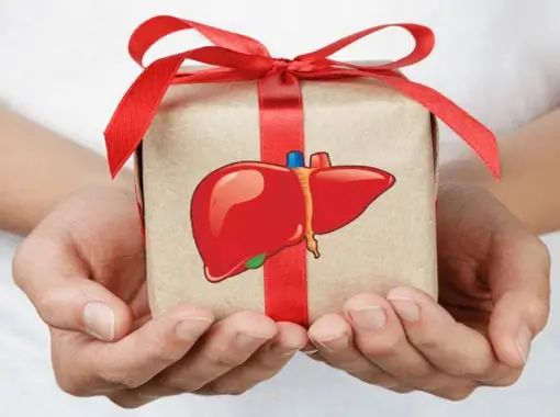 Liver Transplant