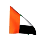 UAE Flag